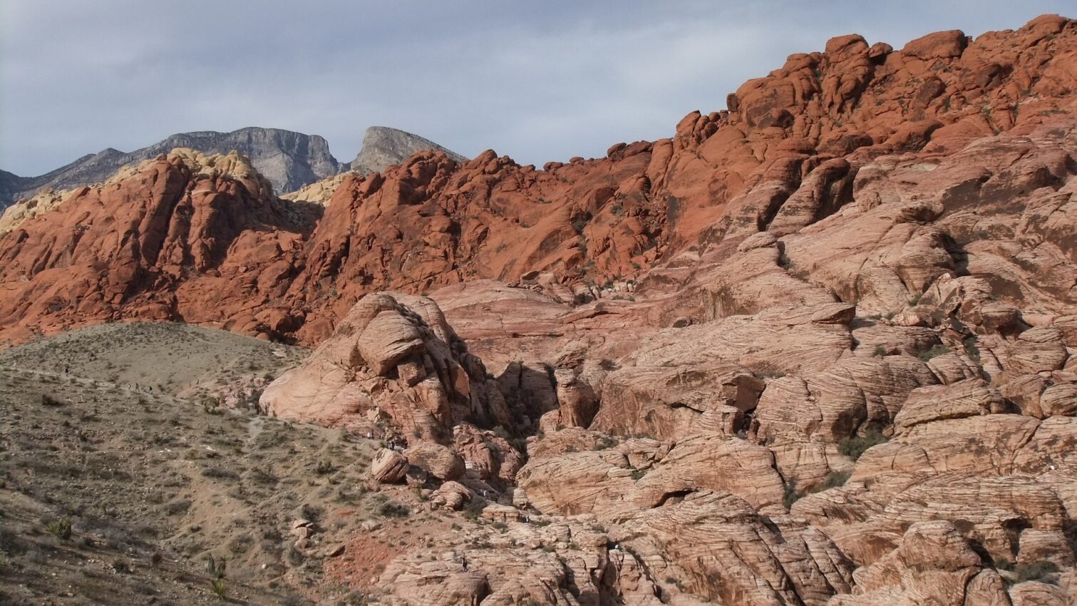 Red Rock Canyon vs. Valley of Fire: Which One Should You Visit First?