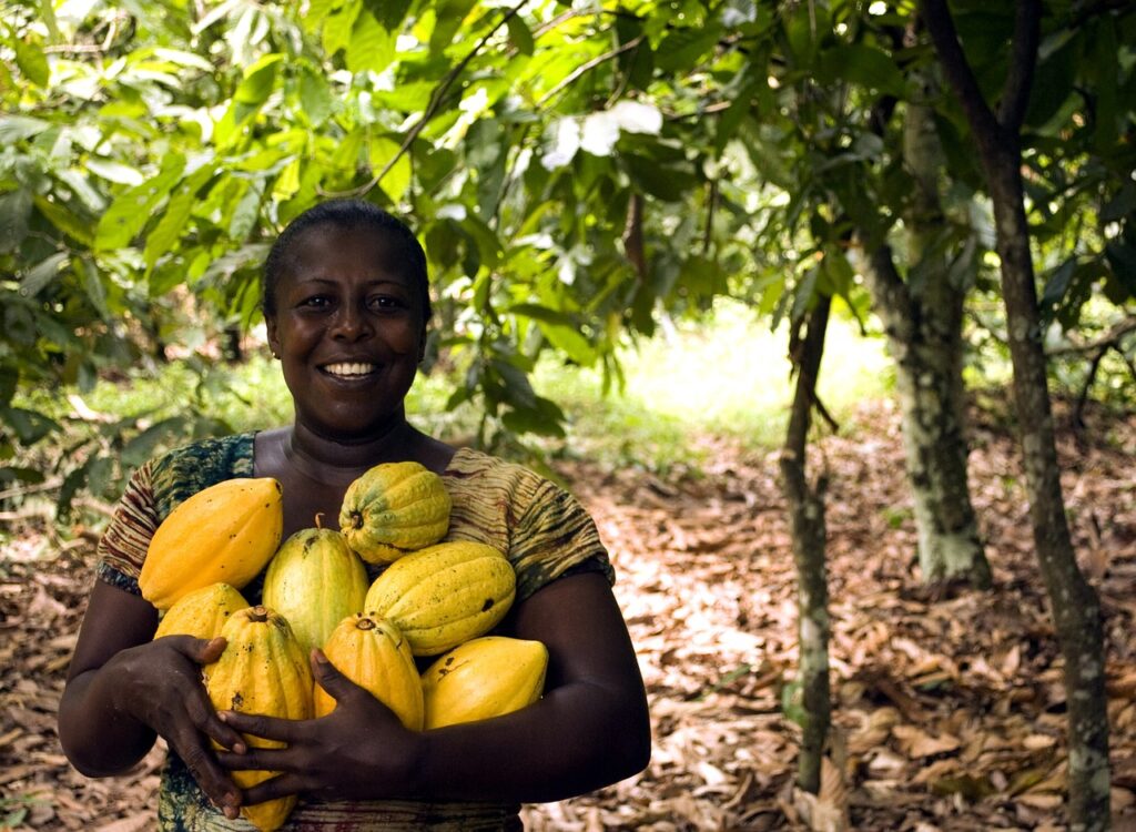 What Makes Chocolate in St. John, USVI, So Special?