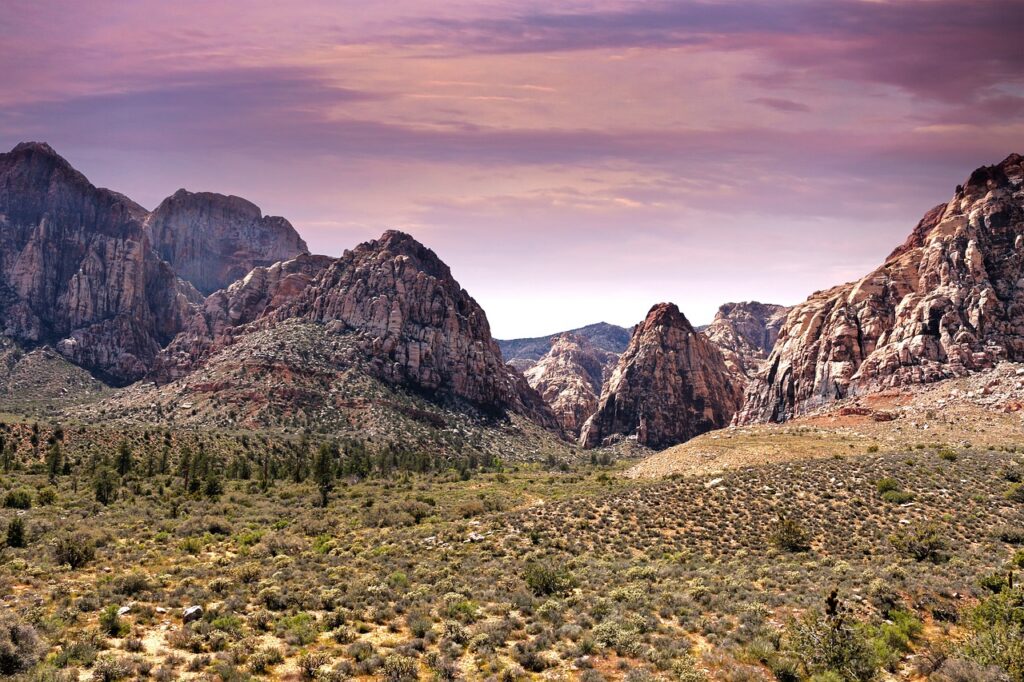 Red Rock Canyon vs. Valley of Fire: Which One Should You Visit First?